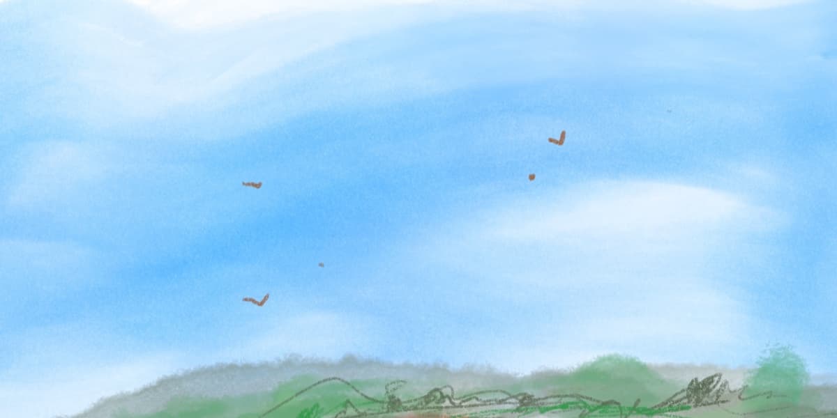 A creator's bill of rights, for the AI era